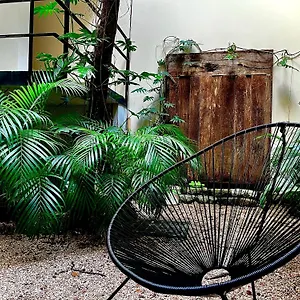 https://una-luna-tulum.allrivieramayahotels.com