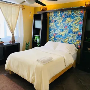 https://casa-bonita.guadalajarahotels.info